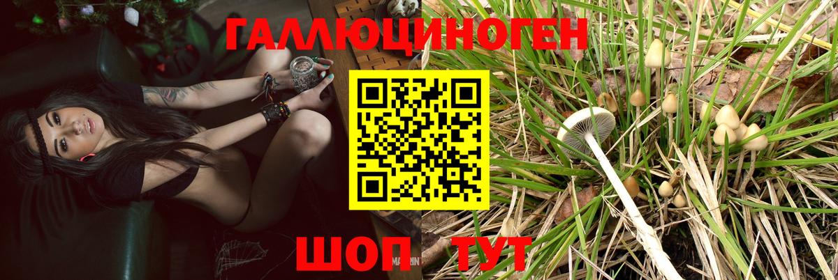 Балаково  Псилоцибиновые грибы MAGIC MUSHROOMS  как найти закладки  Галлюциногенные грибы мухоморы  Вход с VPN 