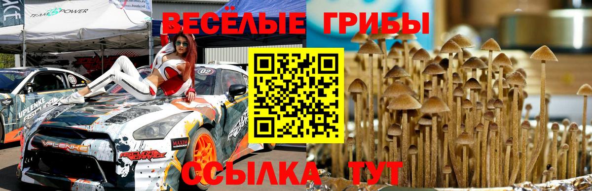 Галлюциногенные грибы ЛСД Балаково